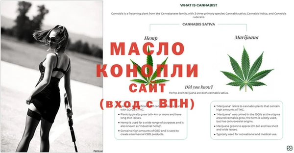каннабис Аркадак