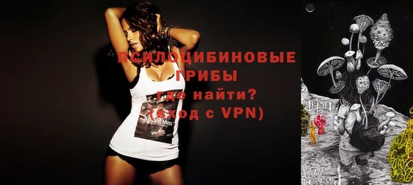Альфа ПВП Алзамай