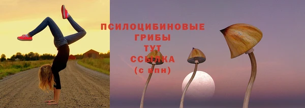амфетамин Алексеевка